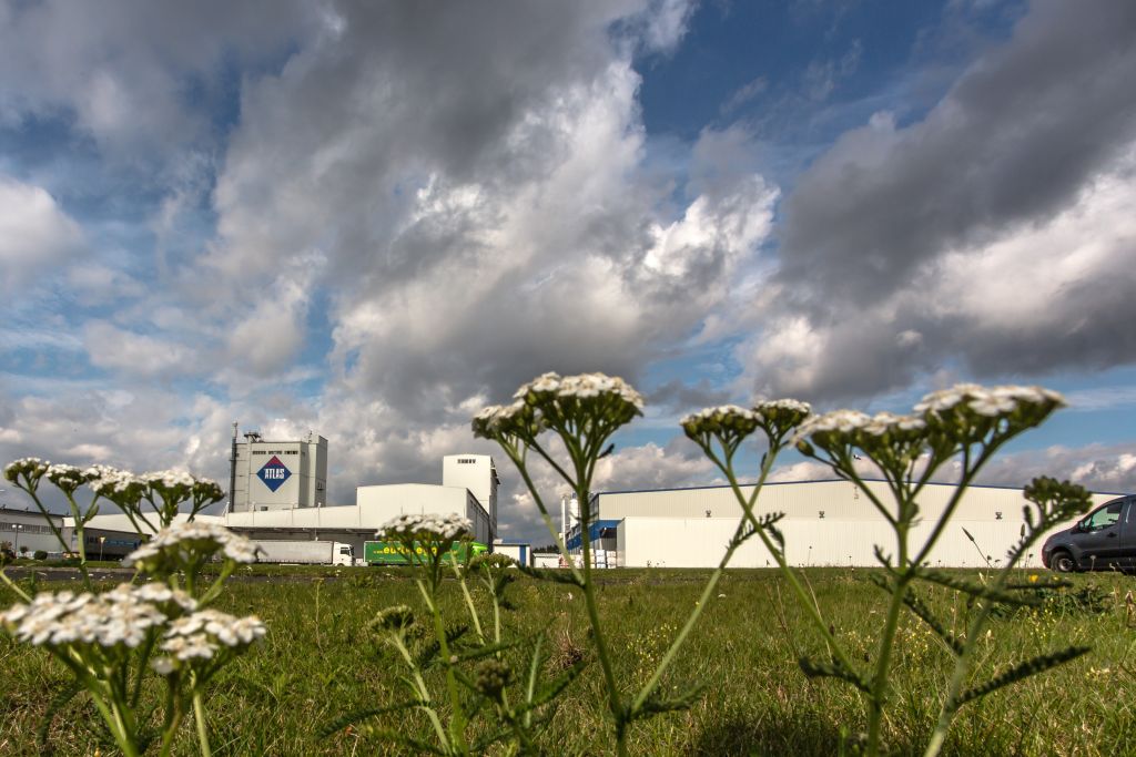 Konsekwentnie działa na rzecz zrównoważonego rozwoju